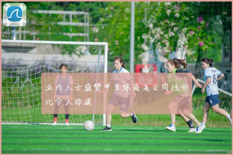 业内人士盛赞申京球商高合同性价比令人称道
