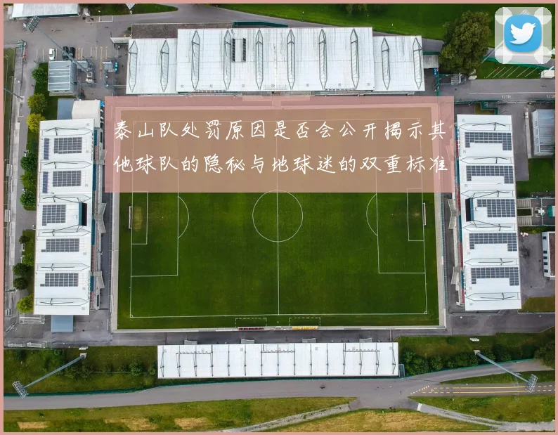 泰山队处罚原因是否会公开揭示其他球队的隐秘与地球迷的双重标准